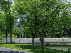 -两河城市森林公园