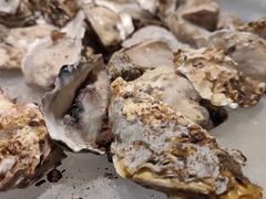 -韩盛炭火烤肉(万达广场店)