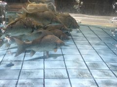 -荣小馆(温州智慧谷店)