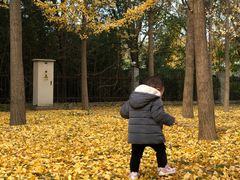 -奥林匹克森林公园南门-停车场