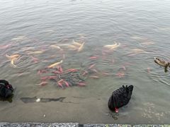 -中国农业博物馆