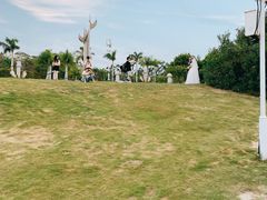 -黄金海岸环岛路