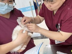-美联众合动物医院·24h京西诊疗中心