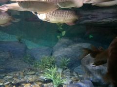 -福州罗源湾海洋世界旅游区