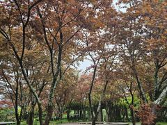 -乌石村