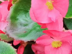 -复旦大学附属华山医院(江苏路分部)