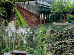 -广州神农草堂中医药博物馆