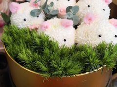 -花到家(富贵鸟花艺行)