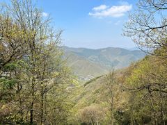 -莫干山风景区