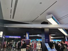 -奥斯卡升龙国际影城(RealD Cinema)