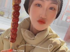 -和禄德冰糖葫芦