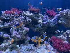 -海合安天津极地海洋公园