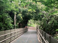 -福道