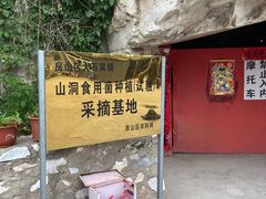 -仙蘑洞