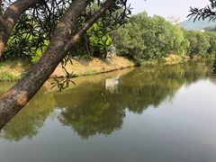 -乌石塘景区