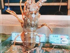 -琼菜王(南海店)