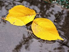-木塔寺遗址生态公园