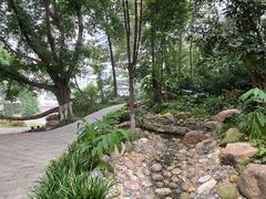 -成都市活水公园