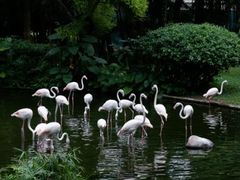 -九龙公园