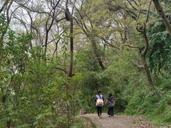 -平湖九龙山旅游度假区