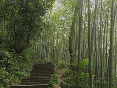 -西湖风景区十里琅珰-五云山