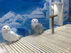 -成都浩海立方海洋公园