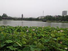 -西海子公园