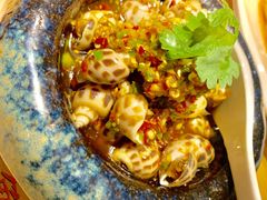 鲜椒花螺-江湖情酸菜鱼(万菱汇店)