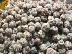 山楂雪球-金栗凰