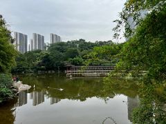 -龙头寺公园