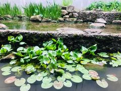 -中国湿地博物馆