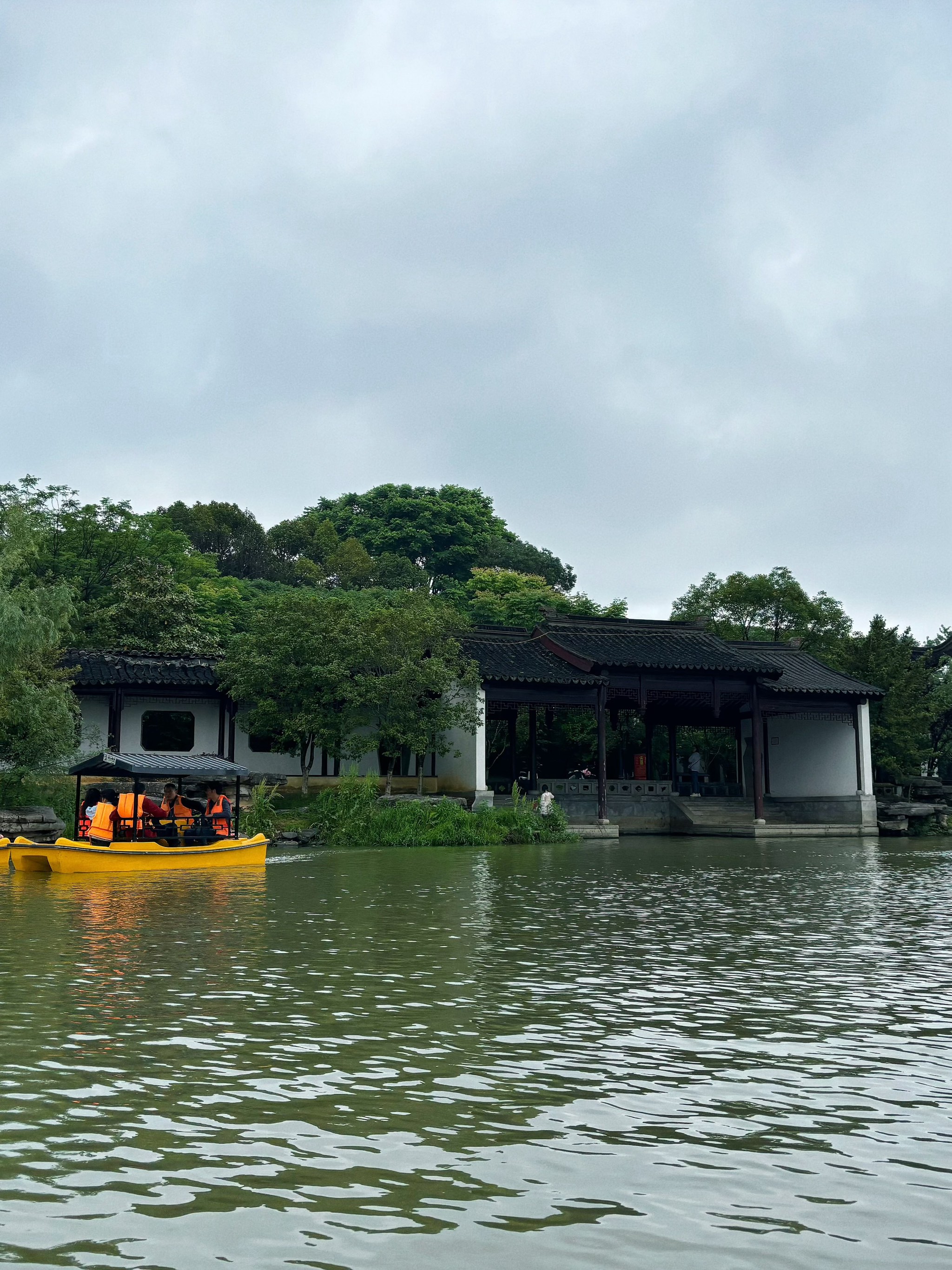 八大山人梅湖图片