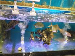 -盒马鲜生(悠方店)
