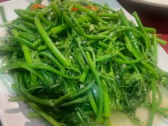 -粤北餐馆