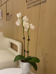 -广东韩妃整形外科医院