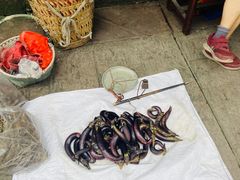 -海窝子古镇