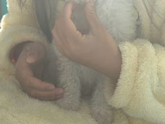 -博特宠物医院24h犬猫全科.骨科·异宠