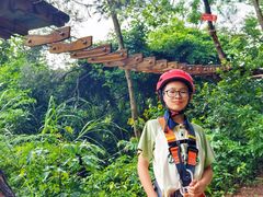 -芦仙山景区-飞越丛林探险乐园