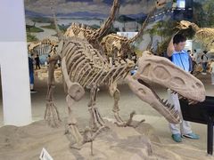 -自贡恐龙博物馆