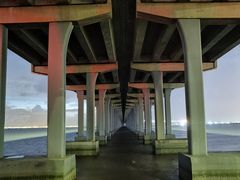 -宝安西湾红树林湿地公园