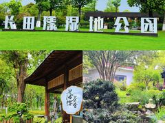 -长田漾湿地公园