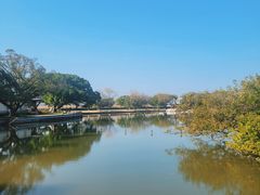 -江心屿景区