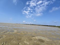 -北海金海湾红树林生态旅游区