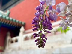 -北京国子监胡同