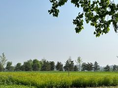 -汉长安城未央宫国家考古遗址公园