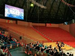 -俄罗斯国家大马戏团