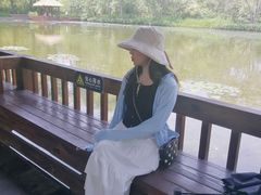 -溱湖国家湿地公园