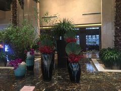 -常州环球恐龙城维景国际大酒店