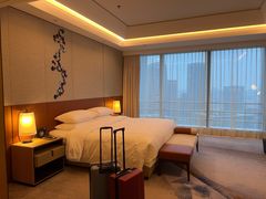 -广州奥园喜来登酒店