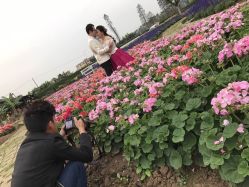 点击看大图 -金夫人婚纱摄影(华南店)